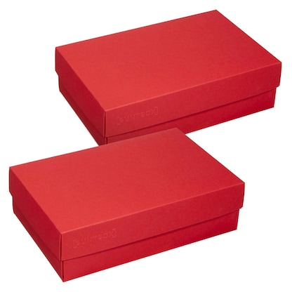 BUNTBOX L Geschenkboxen 3,6 l rot 26,6 x 17,2 x 7,8 cm, 2 St