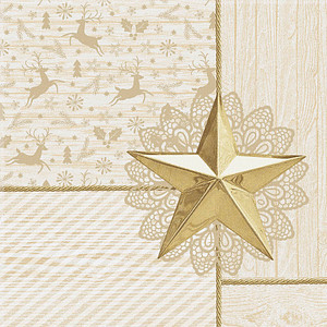 PAPSTAR Servietten Rising Star 50 St.