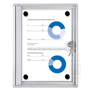 Showdown® Displays Schaukasten Economy XS silber 1x DIN A4 27,1 x 2,6 x 35,0 cm, 1 St.