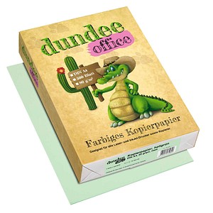 dundee Kopierpapier Color hellgrün DIN A4 80 g/qm 500 Blatt