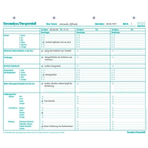 BOI Sturzanalyse/Sturzprotokol Formulare, 50 St.