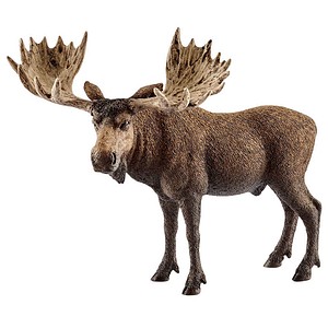 Schleich® Wild Life 14781 Elch Bulle Spielfigur