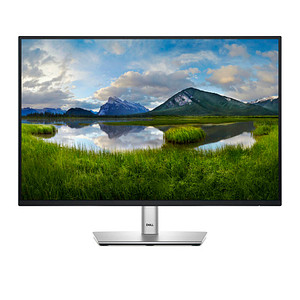 DELL P2425E Monitor 61,1 cm (24,1 Zoll) schwarz