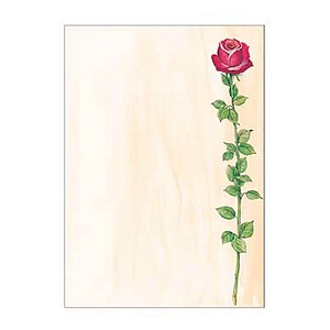 SIGEL Motivpapier Rose Bloom Motiv DIN A4 90 g/qm 25 Blatt SIGEL Motivpapier Rose Bloom Motiv DIN A4 90 g/qm 25 Blatt