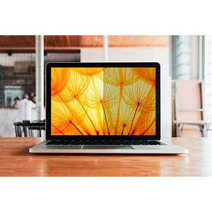 3M Display-Blickschutzfilter für 38,1 cm (15,0 Zoll)