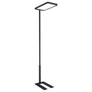 HAMMERBACHER Basic 1 LED Stehlampe grafit
