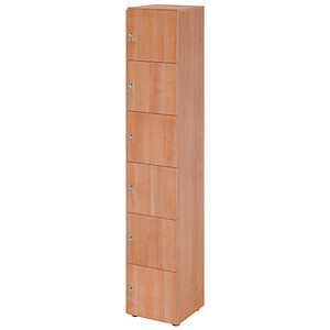 HAMMERBACHER Schließfachschrank nussbaum V264L6/N/N/DS, 6 Schließfächer 40,0 x 42,0 x 215,6 cm