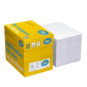 Data copy Kopierpapier Everyday Printing DIN A4 80 g/qm 2.500 Blatt Maxi-Box