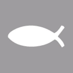 Rayher Motivlocher Fisch, 1 St.