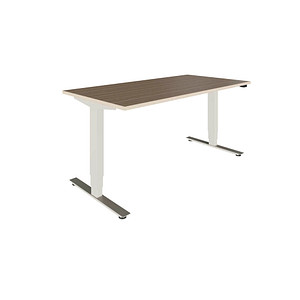 fm Oldenburg elektrisch höhenverstellbarer Schreibtisch eiche natur rechteckig, T-Fuß-Gestell silber 160,0 x 80,0 cm