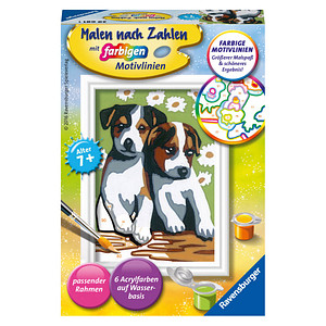Ravensburger Malen-nach-Zahlen Süße Welpen mehrfarbig