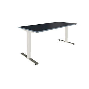 fm Oldenburg elektrisch höhenverstellbarer Schreibtisch lavagrau rechteckig, T-Fuß-Gestell silber 180,0 x 80,0 cm