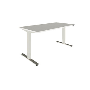fm Oldenburg elektrisch höhenverstellbarer Schreibtisch weiß rechteckig, T-Fuß-Gestell silber 180,0 x 80,0 cm