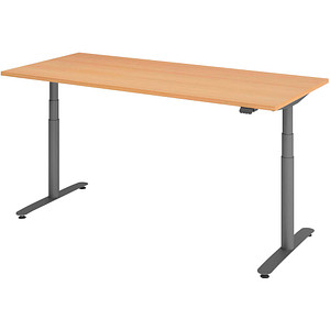 HAMMERBACHER VXDLR19 elektrisch höhenverstellbarer Schreibtisch buche rechteckig, T-Fuß-Gestell grau 180,0 x 80,0 cm