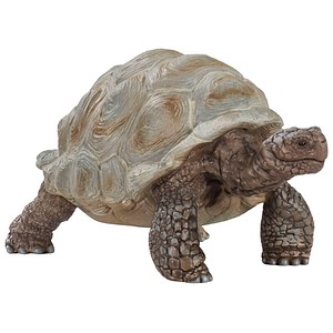 Schleich® Wild Life 14824 Riesenschildkröte Spielfigur
