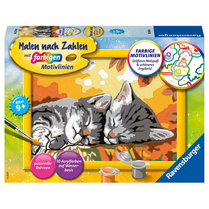 Ravensburger Malen-nach-Zahlen Kätzchen im Herbst mehrfarbig