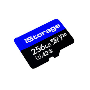 iStorage Speicherkarte microSDXC, 256 GB, 1 St.