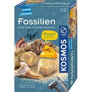 KOSMOS Ausgrabungsset Fossilien mehrfarbig