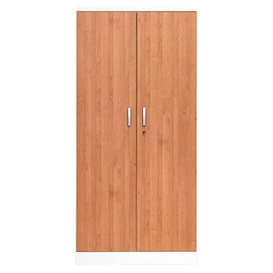 Gürkan Stahlschrank 100115 verkehrsweiß, erle 4 Fachböden 92,0 x 42,0 x 195,0 cm, aufgebaut, 1 St.