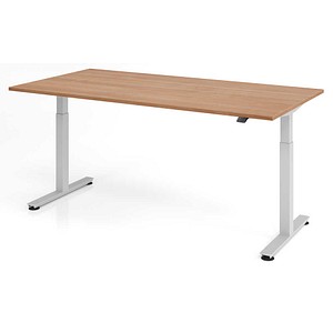 HAMMERBACHER XMST2E elektrisch höhenverstellbarer Schreibtisch nussbaum rechteckig, T-Fuß-Gestell silber 200,0 x 100,0 cm