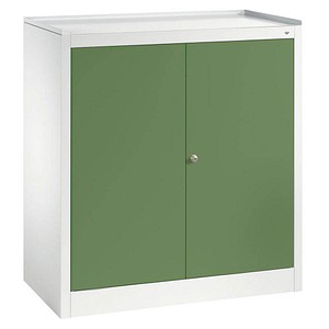 CP Stahlschrank 88210-00 S10017 lichtgrau, rededagrün 1 Fachboden 94,0 x 50,0 x 100,0 cm, aufgebaut, 1 St.