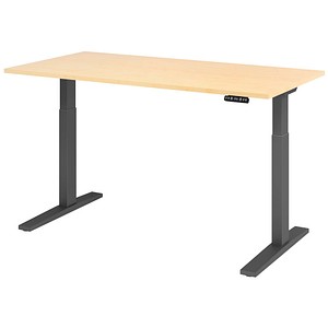 HAMMERBACHER XMKA16 elektrisch höhenverstellbarer Schreibtisch ahorn rechteckig, C-Fuß-Gestell grau 160,0 x 80,0 cm