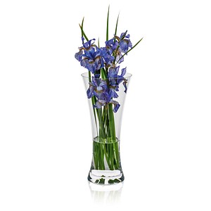 RONA Vase Ambiente transparent, 1 St.