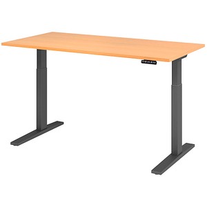 HAMMERBACHER XMKA16 elektrisch höhenverstellbarer Schreibtisch buche rechteckig, C-Fuß-Gestell grau 160,0 x 80,0 cm