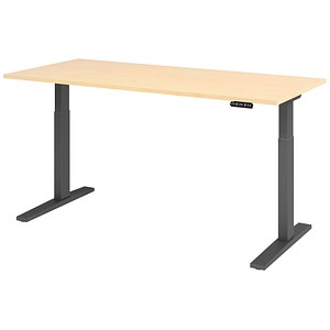 HAMMERBACHER XMKA19 elektrisch höhenverstellbarer Schreibtisch ahorn rechteckig, C-Fuß-Gestell grau 180,0 x 80,0 cm