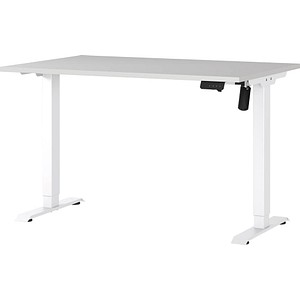 GERMANIA Boras höhenverstellbarer Schreibtisch lichtgrau rechteckig, T-Fuß-Gestell weiß 120,0 x 80,0 cm