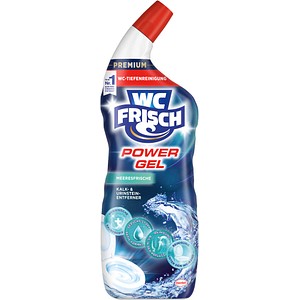 WC FRISCH POWER GEL WC-Reiniger Meeresfrische, 750 ml