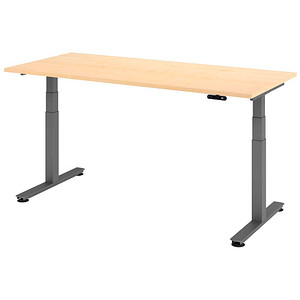 HAMMERBACHER XDSM19 elektrisch höhenverstellbarer Schreibtisch ahorn rechteckig, T-Fuß-Gestell grau 180,0 x 80,0 cm