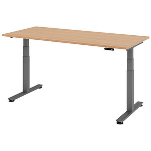 HAMMERBACHER XDSM19 elektrisch höhenverstellbarer Schreibtisch eiche rechteckig, T-Fuß-Gestell grau 180,0 x 80,0 cm