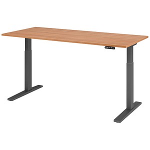 HAMMERBACHER XMKA19 elektrisch höhenverstellbarer Schreibtisch nussbaum rechteckig, C-Fuß-Gestell grau 180,0 x 80,0 cm