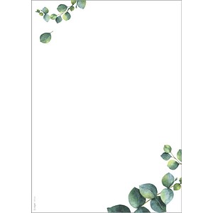 SIGEL Motivpapier weiß/grün DIN A4 90 g/m² 100 Blatt