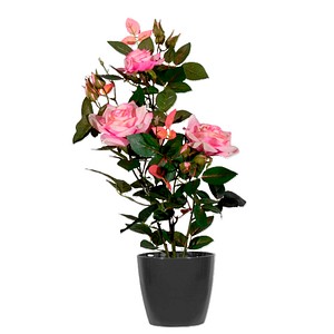 meet powered by PAPERFLOW ROSENSTOCK Kunstpflanze 54,0 cm