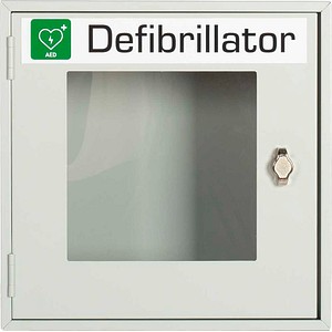 LÜLLMANN Wandschrank für Defibrillator ohne Füllung grau