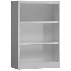 ClassiX Aktenregal lichtgrau 80,0 x 38,0 x 120,0 cm, 1 St.