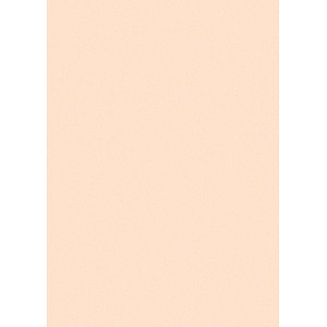Printus Kopierpapier Color lachs DIN A4 160 g/qm 250 Blatt Printus Kopierpapier Color lachs DIN A4 160 g/qm 250 Blatt