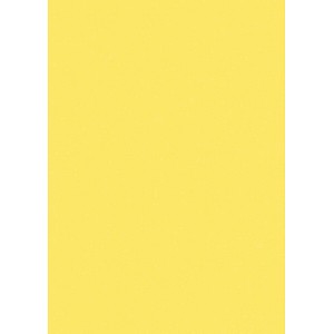 Printus Kopierpapier Color canariengelb DIN A4 80 g/qm 500 Blatt Printus Kopierpapier Color canariengelb DIN A4 80 g/qm 500 Blatt