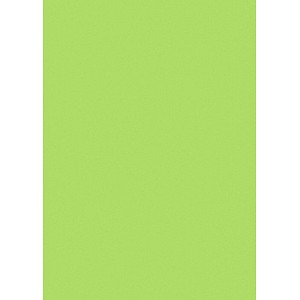 Printus Kopierpapier Color maigrün DIN A4 80 g/qm 500 Blatt Printus Kopierpapier Color maigrün DIN A4 80 g/qm 500 Blatt