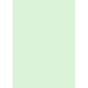 Printus Kopierpapier Color hellgrün DIN A4 80 g/qm 500 Blatt Printus Kopierpapier Color hellgrün DIN A4 80 g/qm 500 Blatt
