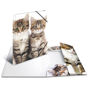 HERMA Sammelmappen DIN A4 Katzen, 3 St.