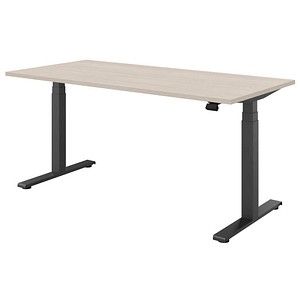 fm fouraction elektrisch höhenverstellbarer Schreibtisch akazie hell rechteckig, T-Fuß-Gestell anthrazit 160,0 x 80,0 cm