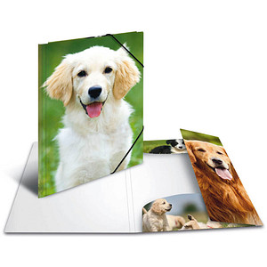 HERMA Sammelmappen DIN A4 Hunde, 3 St.