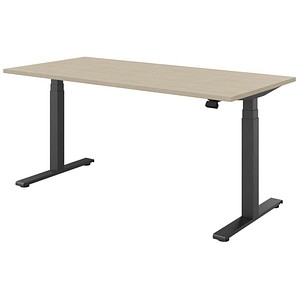 fm fouraction elektrisch höhenverstellbarer Schreibtisch königsahorn rechteckig, T-Fuß-Gestell anthrazit 160,0 x 80,0 cm