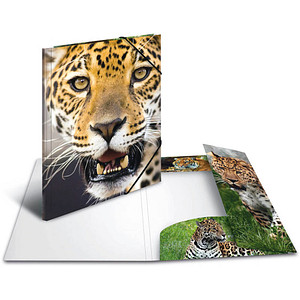 HERMA Zeichenmappen DIN A3 Leoparden, 3 St.
