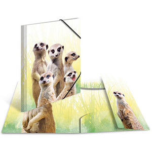HERMA Sammelmappen DIN A4 Erdmännchen, 3 St.