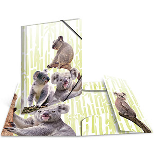 HERMA Sammelmappen DIN A4 Koalas, 3 St.