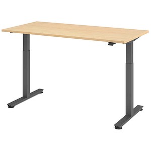HAMMERBACHER VXMST16 elektrisch höhenverstellbarer Schreibtisch ahorn rechteckig, T-Fuß-Gestell grau 160,0 x 80,0 cm